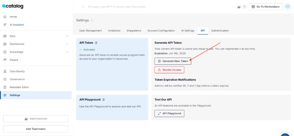 API Settings - Generate and manage API token in Catalog