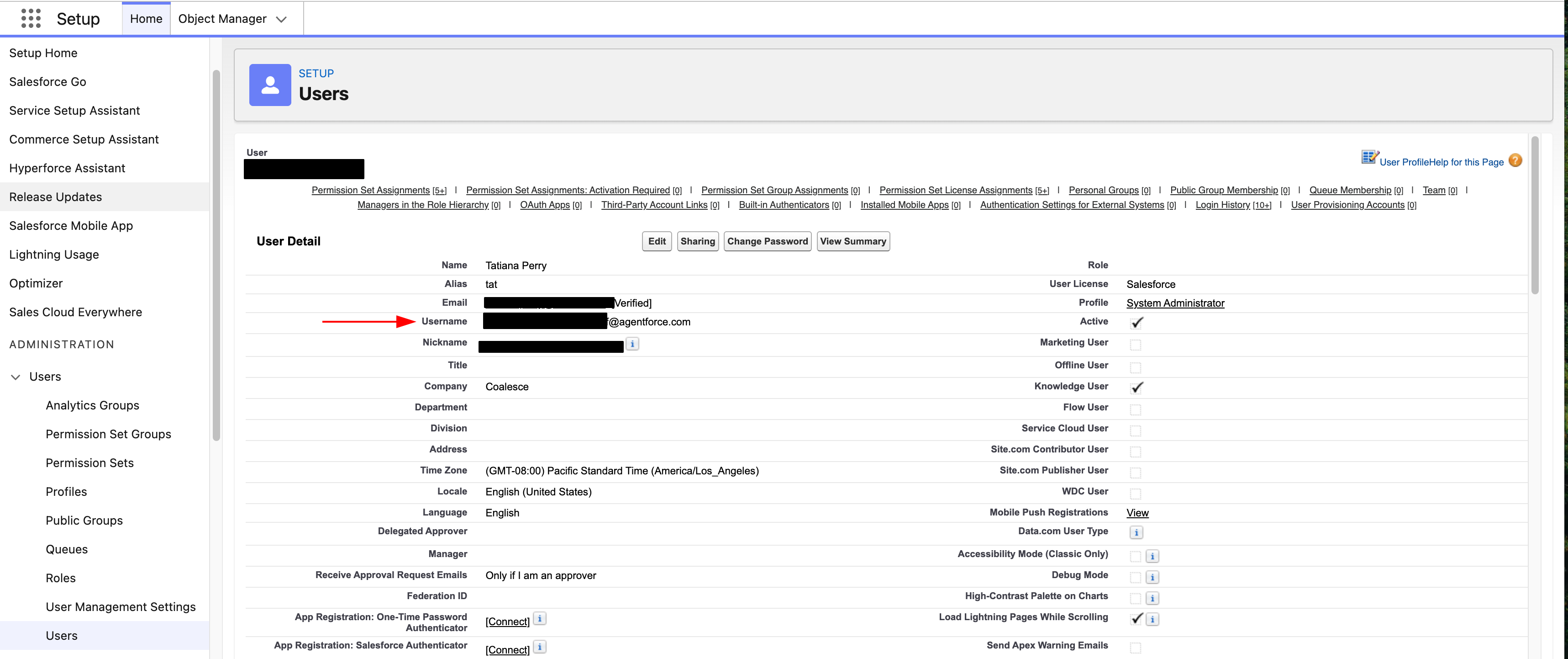 Salesforce Setup screen showing a user detail page. The Username field is highlighted with an arrow, indicating the user’s login username, with Users selected in the left navigation.