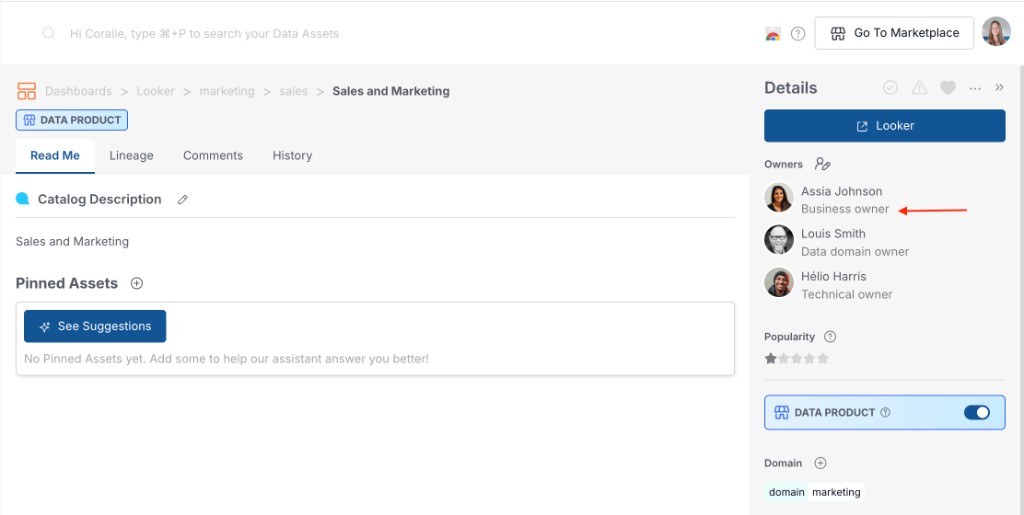 Ownership labels in Details panel (Business owner, Data domain owner, Technical owner)