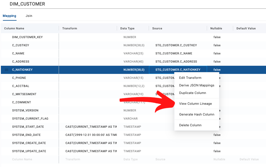 Click on a populated column to view Column Lineage